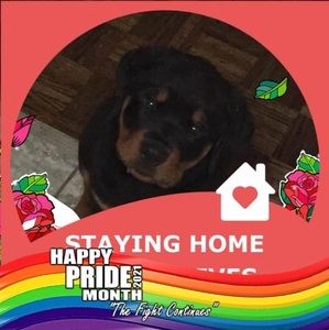 Meet your Posher, Lorina